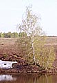 Uljanovsk region, Russia, April,29